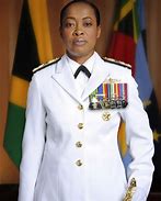 Image result for Chief of Defence Staff