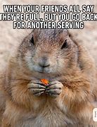 Image result for Silly Animal Memes