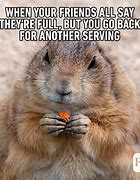 Image result for Animal Humour