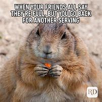 Image result for Animal Friend Quotes Funny