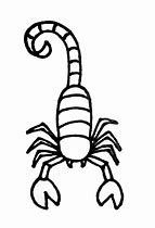 Image result for Small Scorpion Sketch