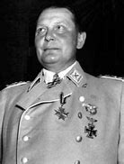 Image result for Hermann Goering Plane