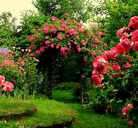 Image result for Rose Garden Pics