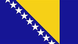 Image result for Bosnia and Herzegovina Flag