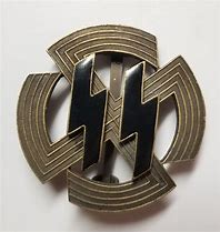 Image result for Nazi SS Uniform Badges