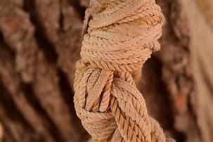 Image result for Suicide by Rope