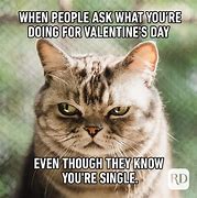 Image result for Single On Valentine's Day Meme