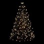Image result for Small Outdoor Christmas Trees