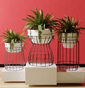 Image result for Wire Plant Stand Indoors