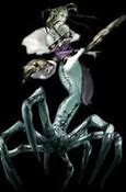 Image result for Castlevania Arachne
