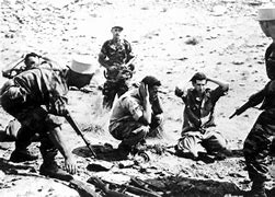 Image result for French Algerian War Massacres
