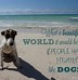 Image result for Dogs Unconditional Love Quotes