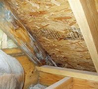 Image result for Is Attic Mold Dangerous