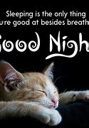 Image result for Funny Goodnight Quotes