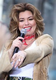 Image result for Shania Twain Concert