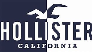Image result for Hollister Camo Hoodie