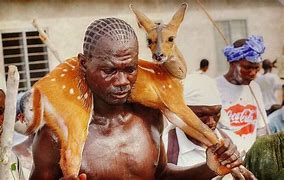 Image result for Ghana Tribes