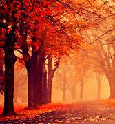 Image result for Autumn Wallpaper for iPad