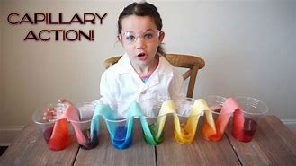 Image result for Easy Science Projects You Can Do at Home