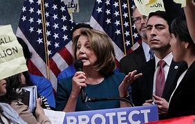 Image result for Nancy Pelosi Home Protest