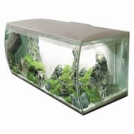 Image result for Fluval Flex Aquarium Kit, 31 CGM
