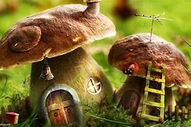 Image result for Mushroom Themed House