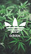 Image result for Adidas Flower T-Shirt