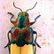 Image result for Coolest Bugs in the World