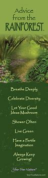 Image result for Your True Nature Bookmarks 12 Pack - Advice From Santa, 12 Inspring & Uplifting Book Markers Made With Recycled Materials BMADVSANTA12
