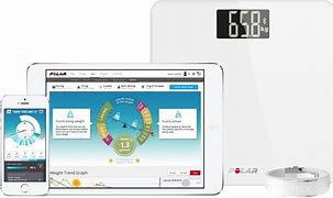 Image result for Polar Balance Scale