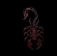 Image result for Cool Wallpapers Scorpion vs Spider
