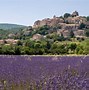 Image result for Lavender Fields in Provence France