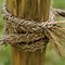 Image result for Wooden Branch with Rope