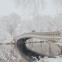 Image result for new york snow central park