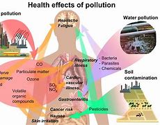Image result for Toxic Effect