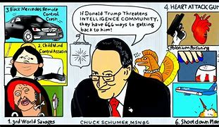 Image result for Charles Schumer Cartoon