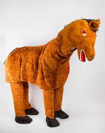 Image result for Pantomime Horse Costume