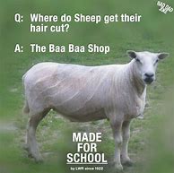 Image result for Black Sheep Jokes