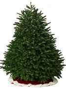 Image result for Lowe's White Christmas Tree