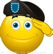 Image result for smily face salute