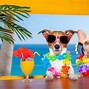 Image result for Summer Dog Wallpaper