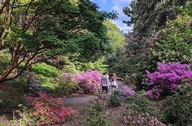 Image result for Highland Park Rochester NY