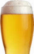 Image result for Ale Lager