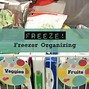 Image result for Colored Freezer Bins