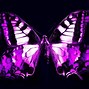 Image result for Cute Purple Butterfly
