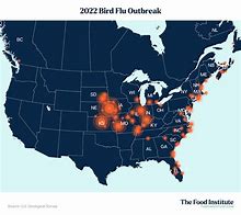 Image result for Bird Flu Map in USA