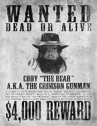 Image result for Wanted Person Poster