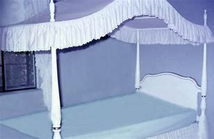 Image result for Canopy above Bed