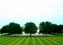 Image result for Poulan 38 Riding Lawn Mower