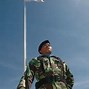 Image result for Indonesian Army Uniform